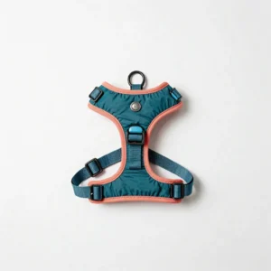 Daily Walk Harness